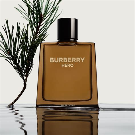 burberry cologne for men